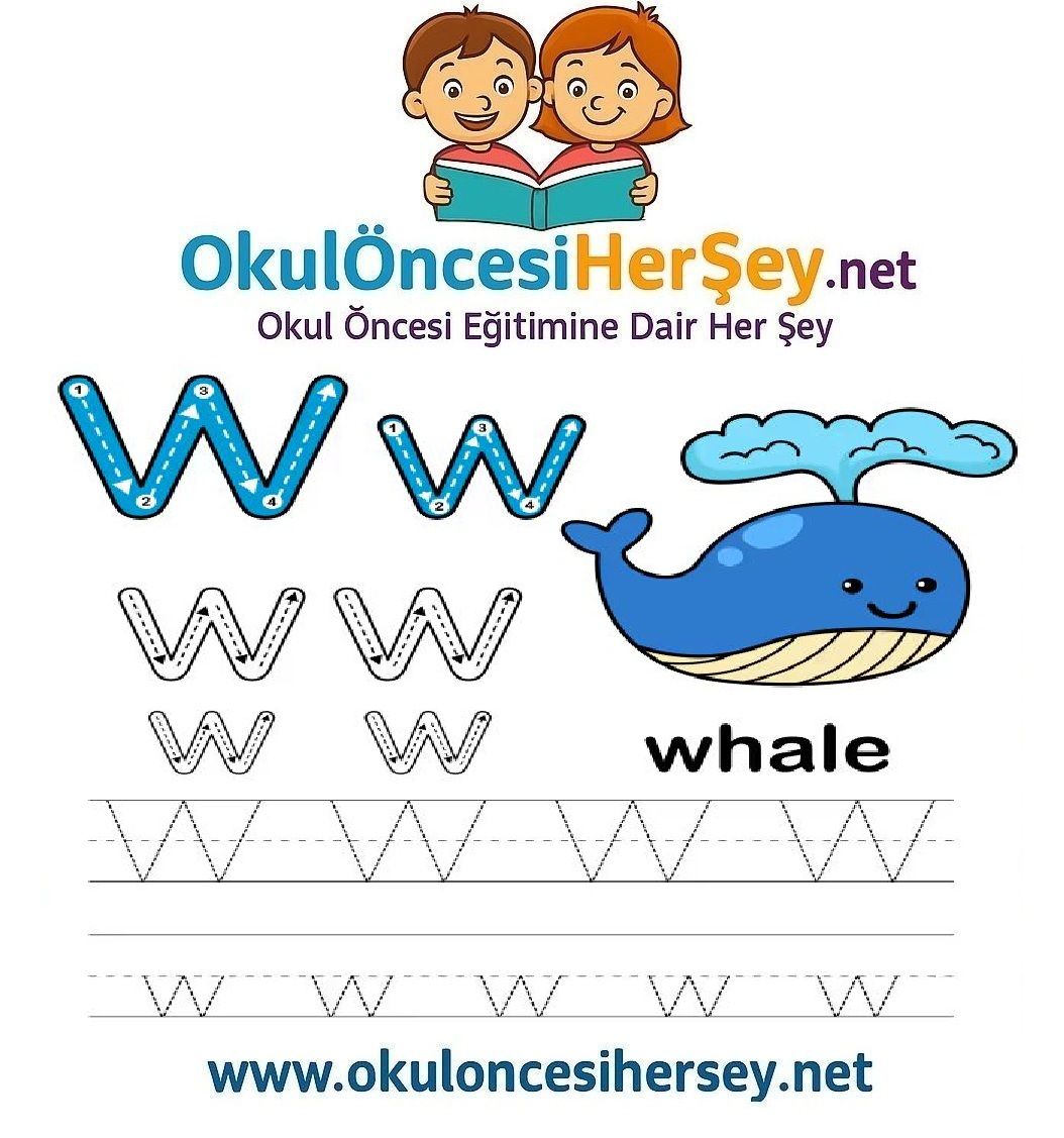 Çizgi Çalışmaları