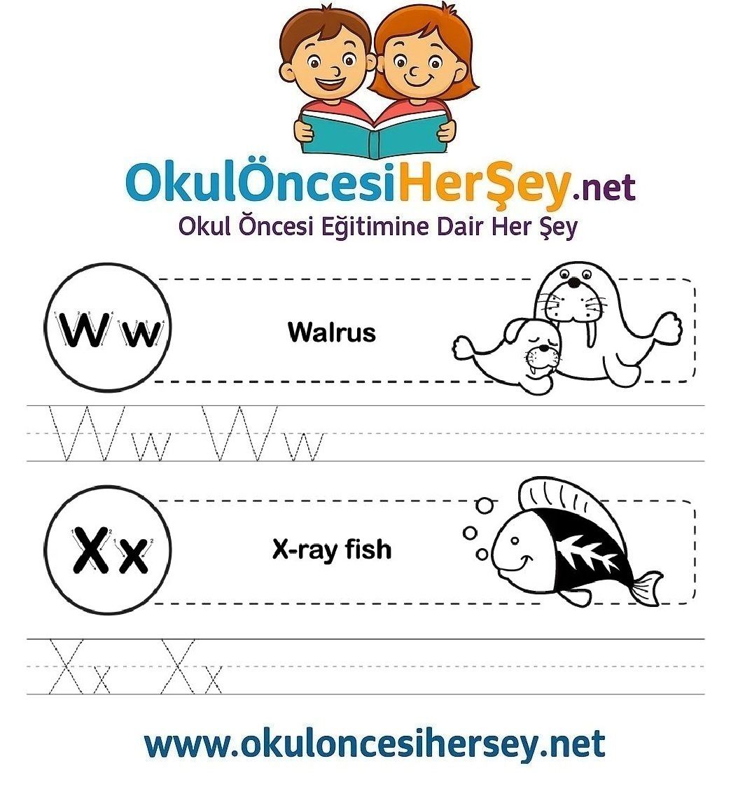 Çizgi Çalışmaları