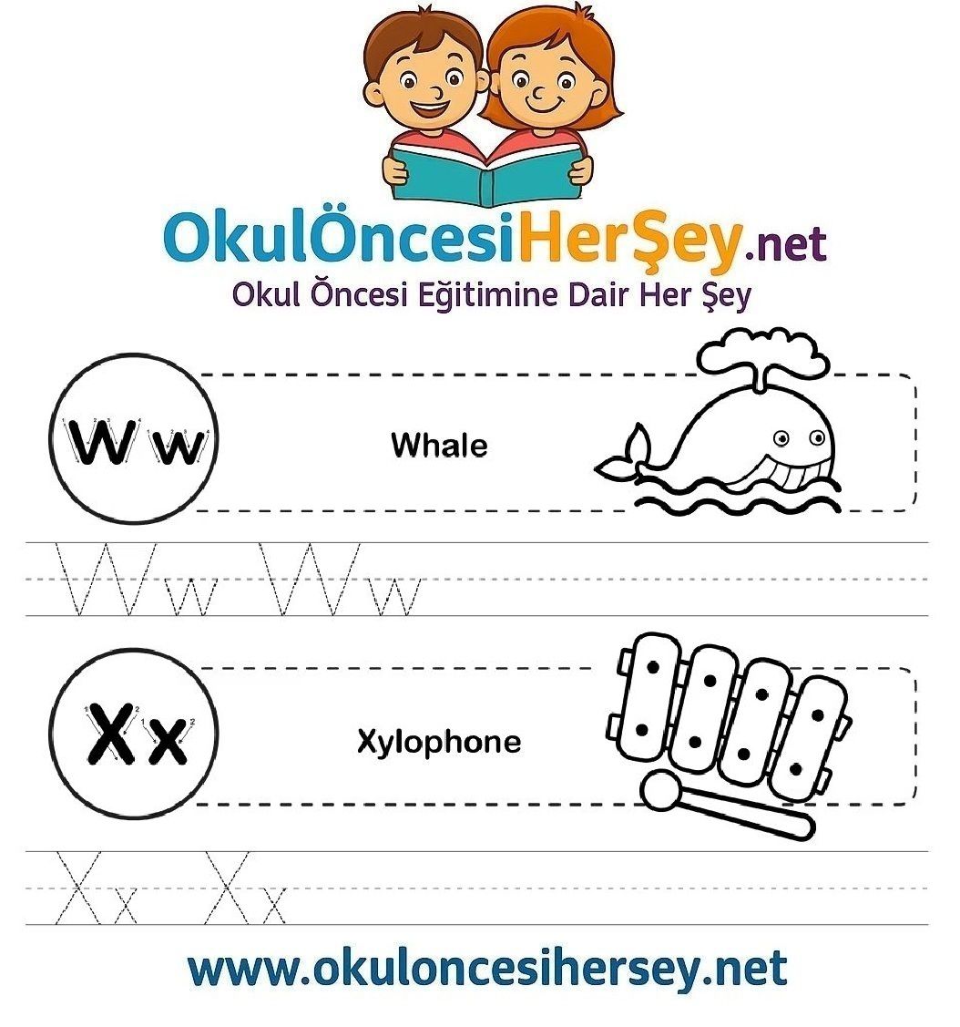 Çizgi Çalışmaları