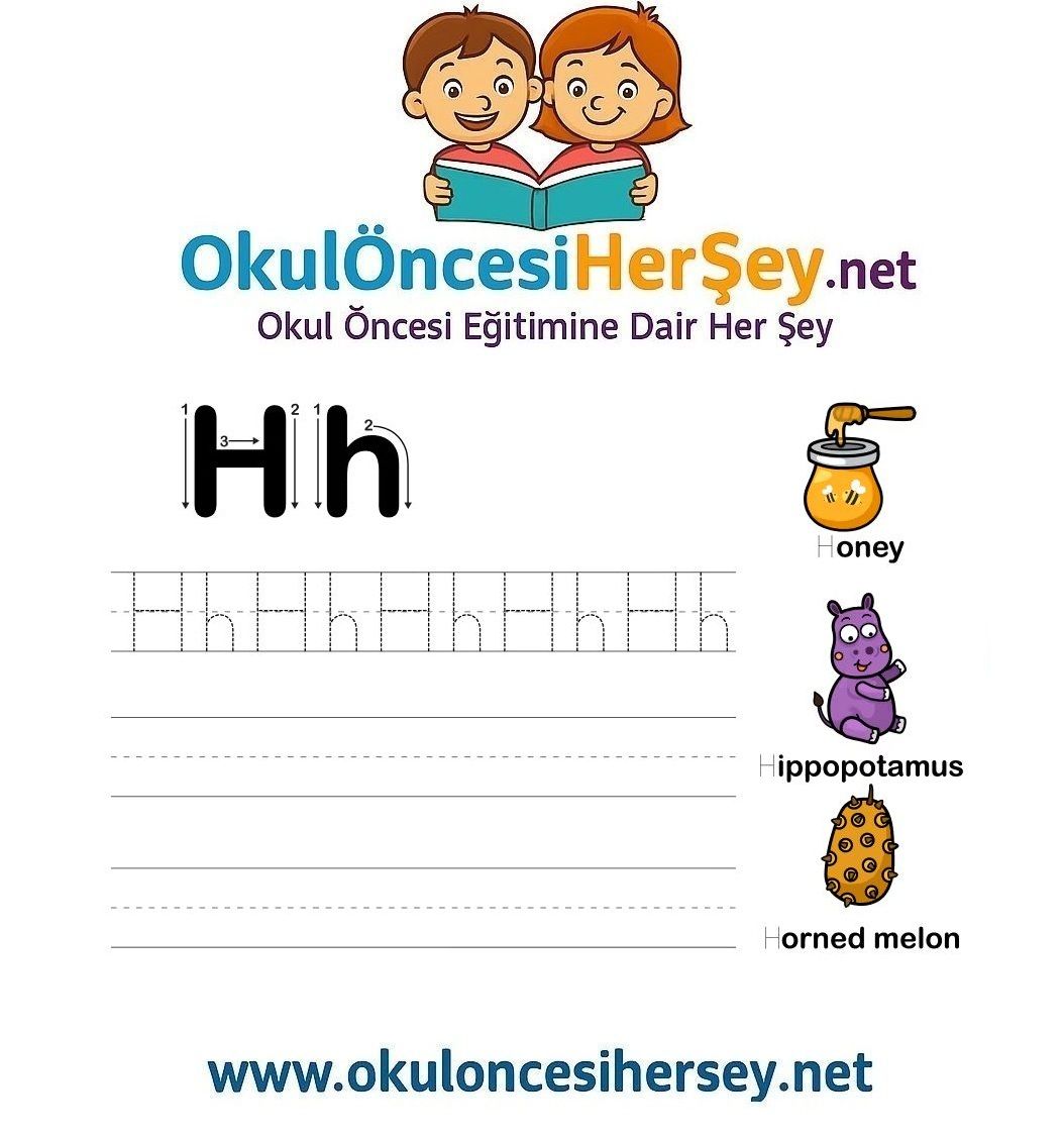 Çizgi Çalışmaları