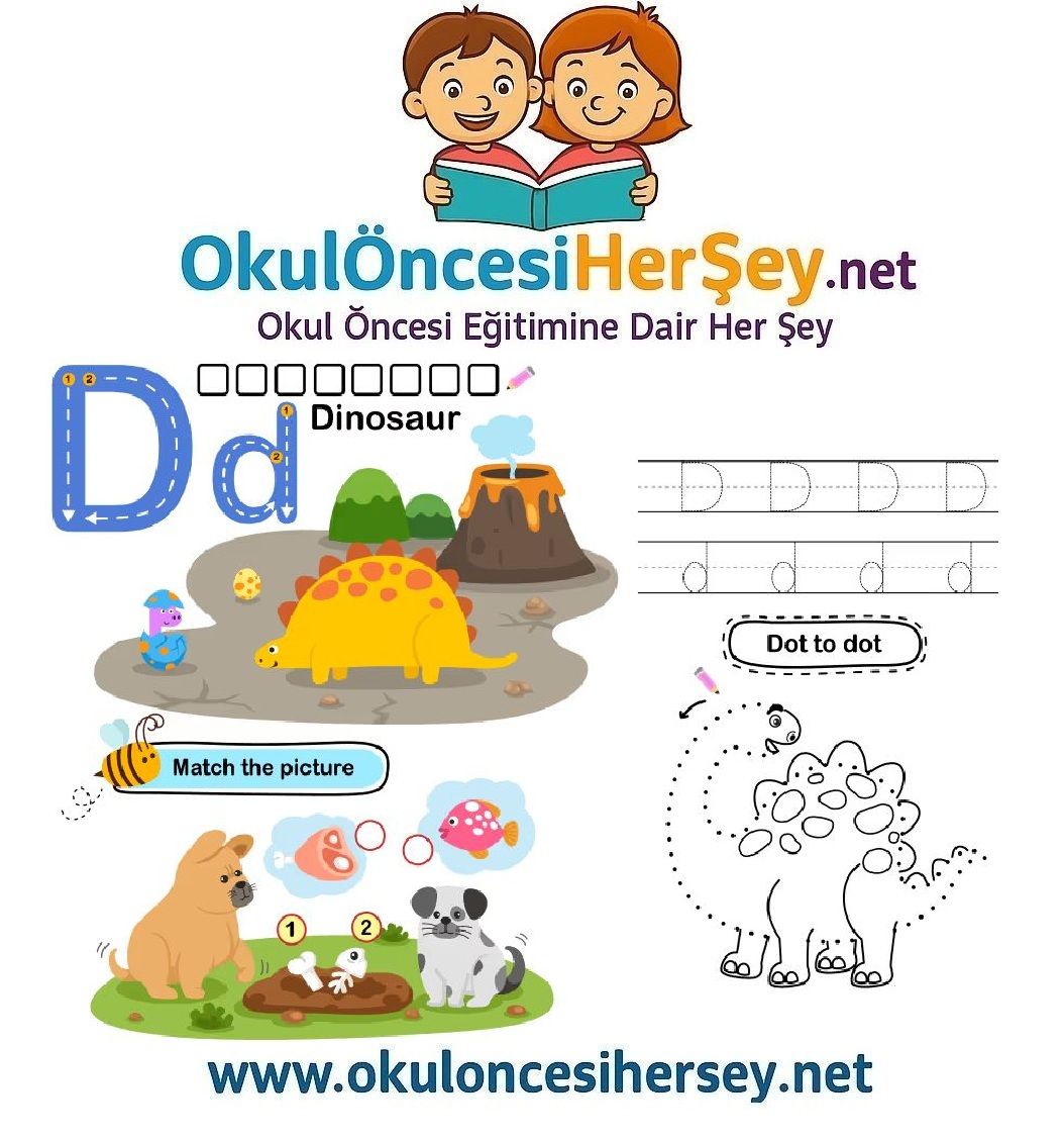 Çizgi Çalışmaları