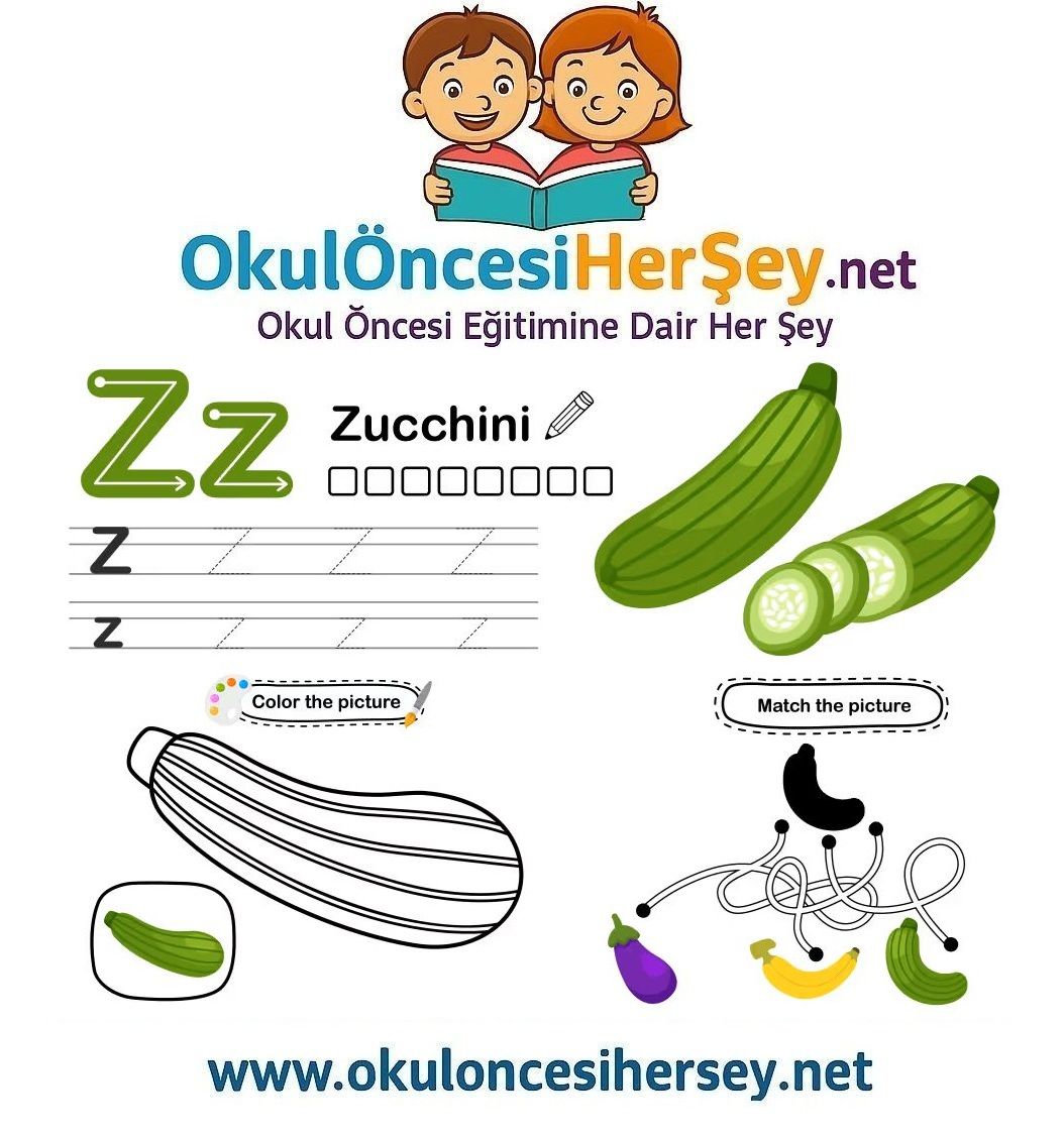 Çizgi Çalışmaları