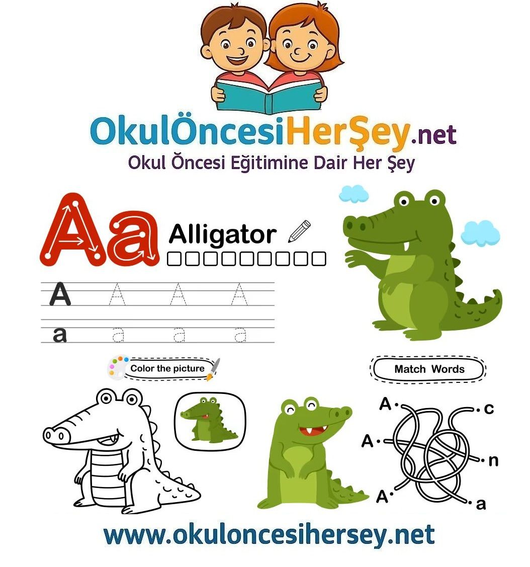 Çizgi Çalışmaları