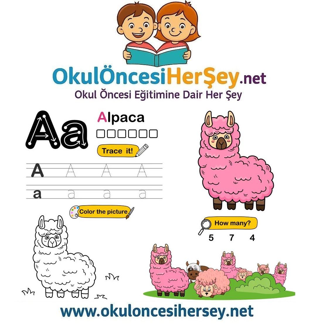 Çizgi Çalışmaları