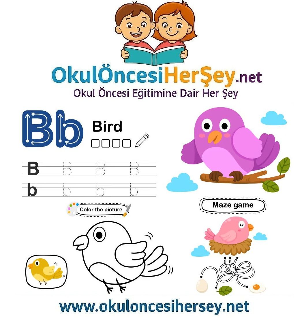 Çizgi Çalışmaları