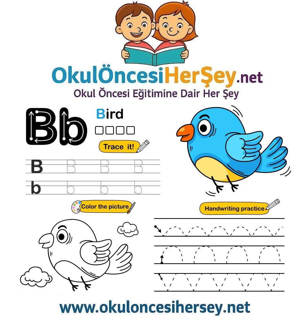 Çizgi Çalışmaları