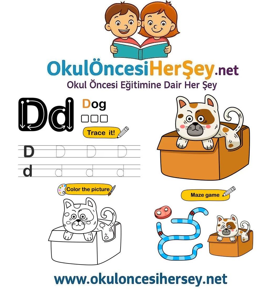 Çizgi Çalışmaları