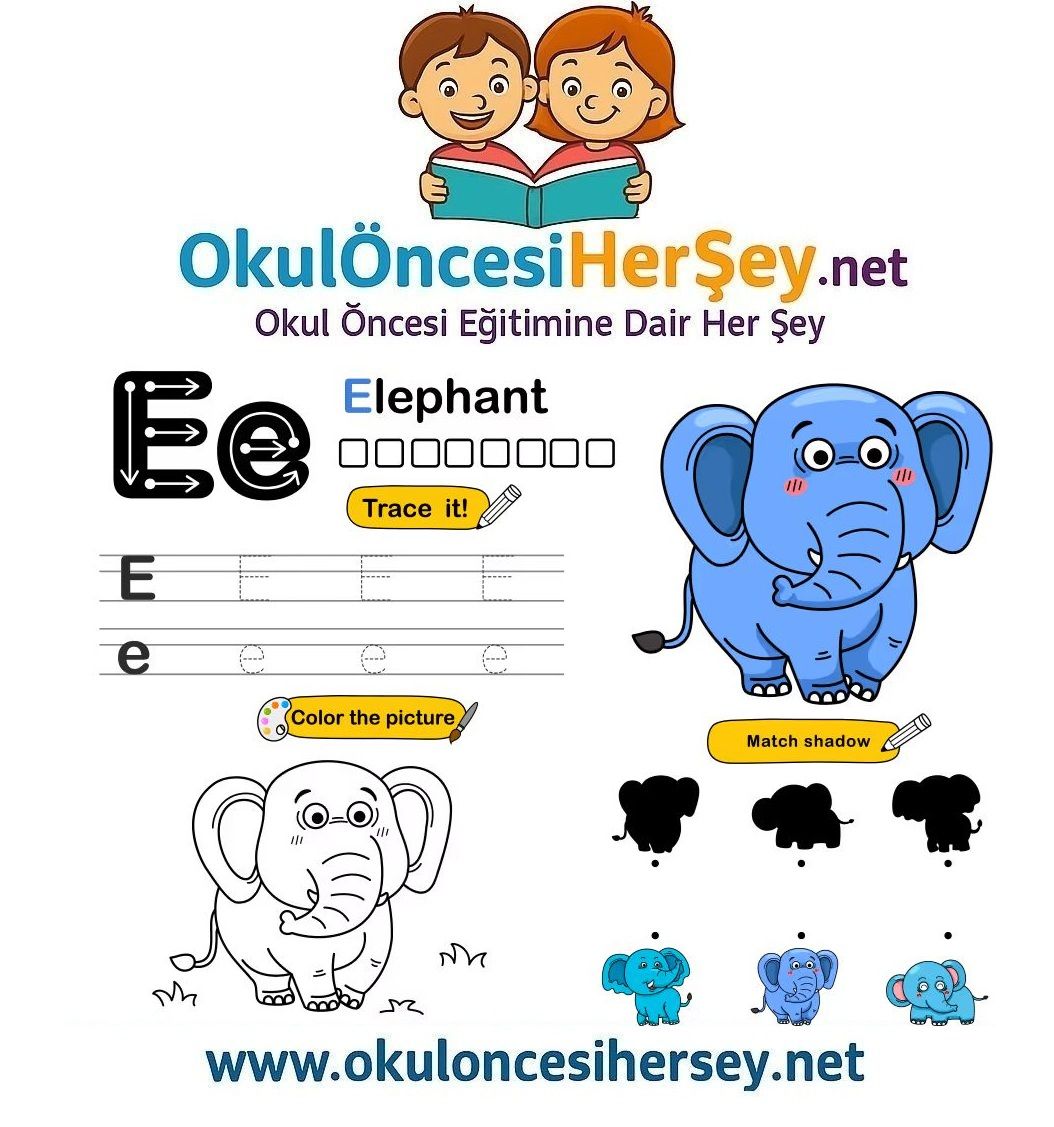 Çizgi Çalışmaları