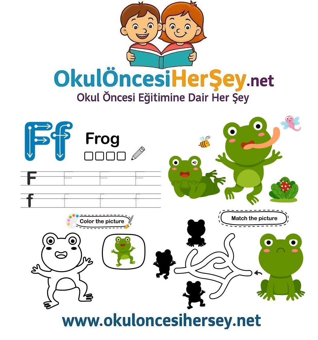 Çizgi Çalışmaları