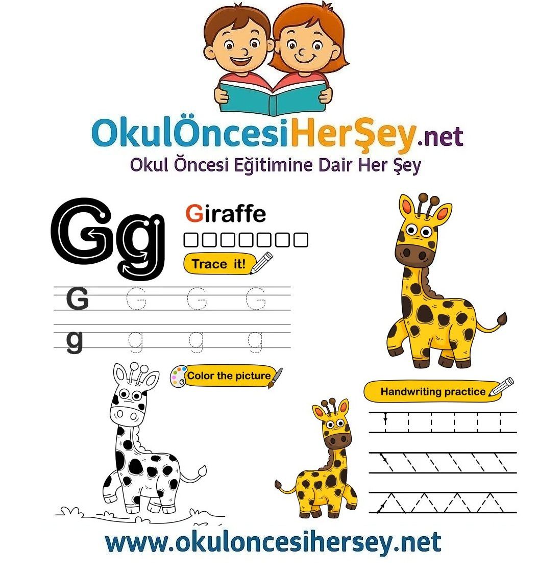 Çizgi Çalışmaları