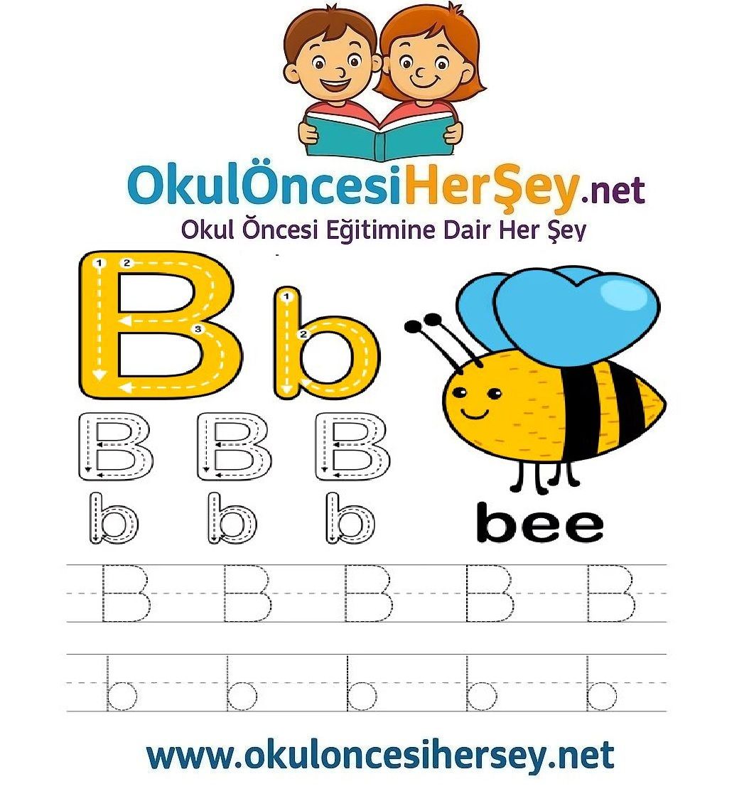 Çizgi Çalışmaları