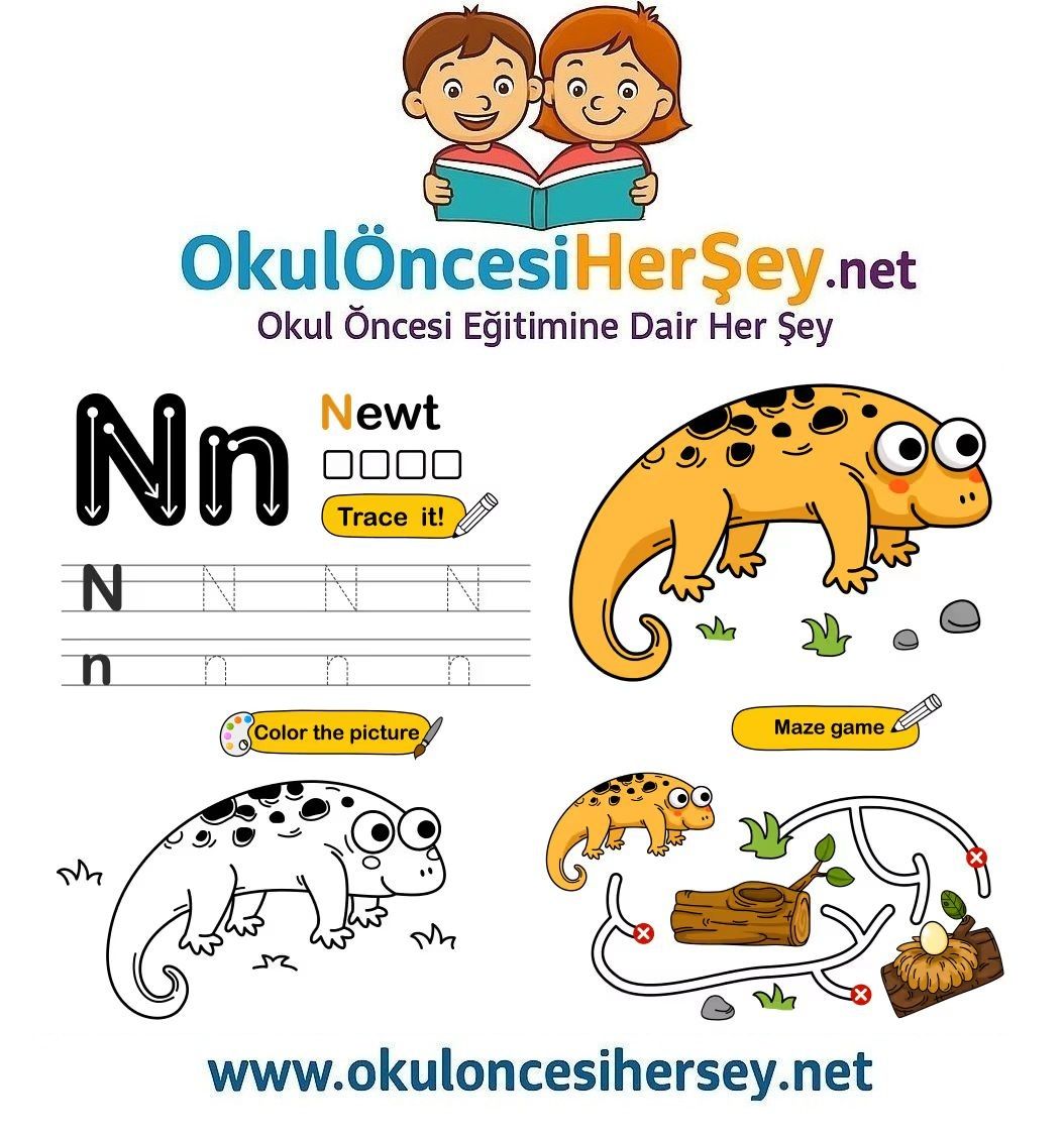 Çizgi Çalışmaları