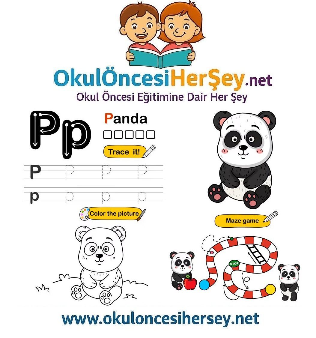 Çizgi Çalışmaları