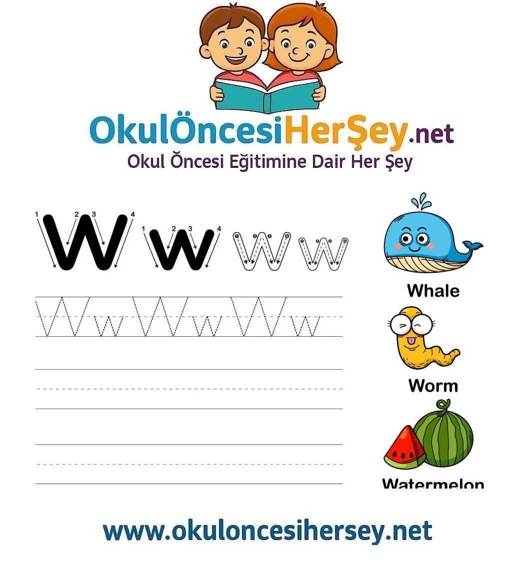 Çizgi Çalışmaları