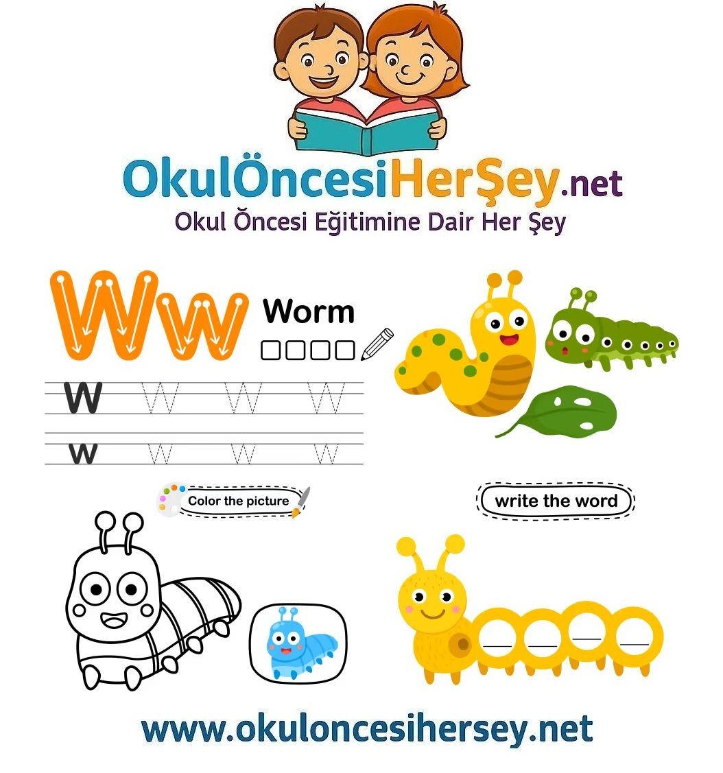 Çizgi Çalışmaları