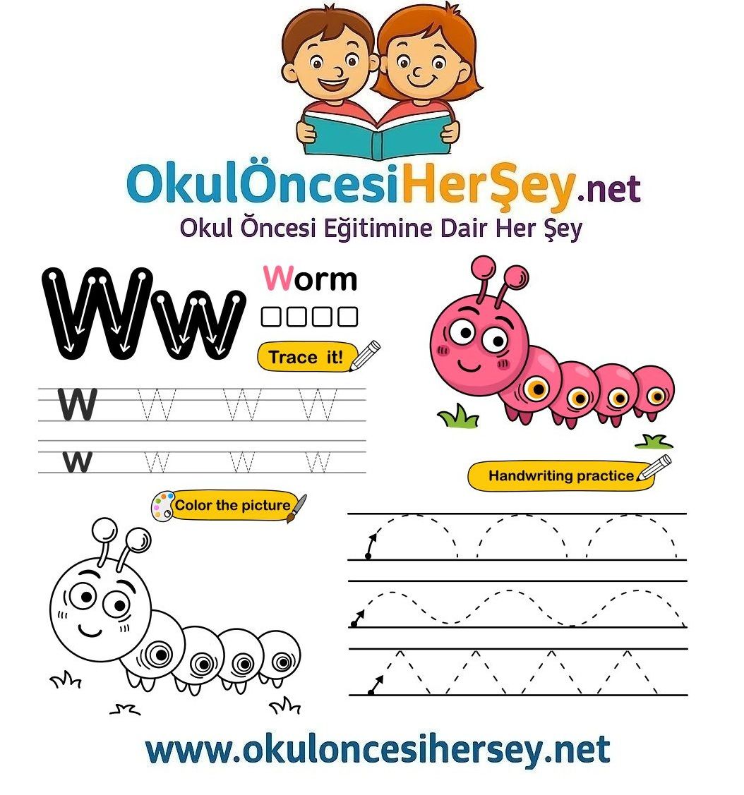 Çizgi Çalışmaları