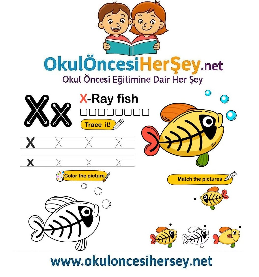 Çizgi Çalışmaları