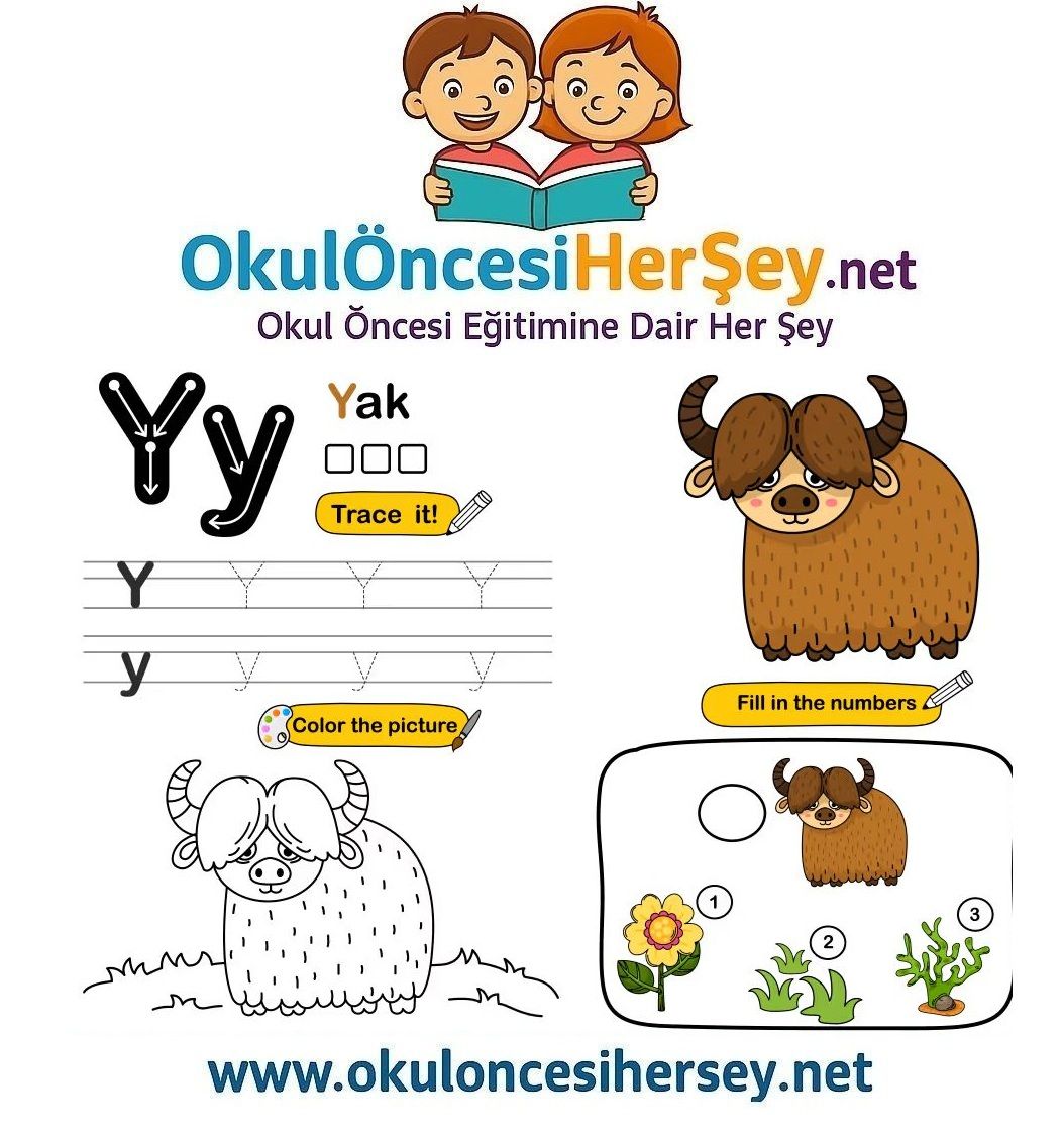 Çizgi Çalışmaları