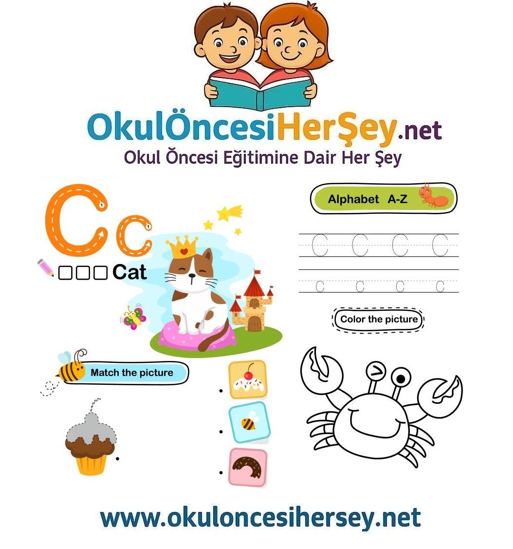 Çizgi Çalışmaları