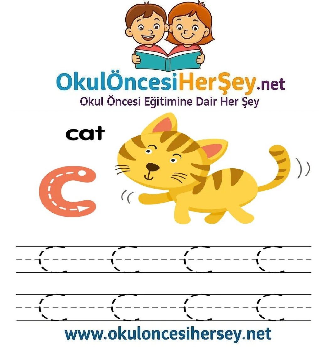 Çizgi Çalışmaları