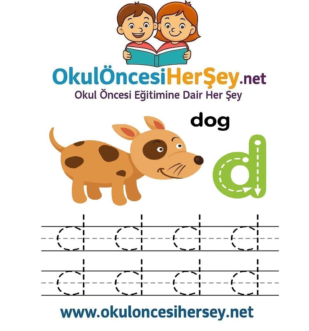 Çizgi Çalışmaları