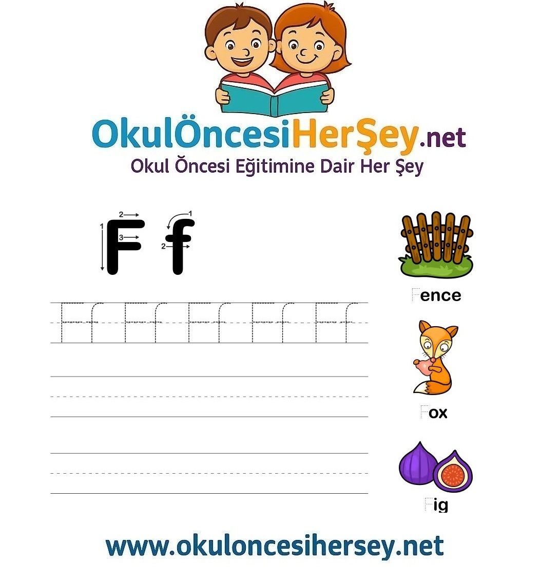 Çizgi Çalışmaları