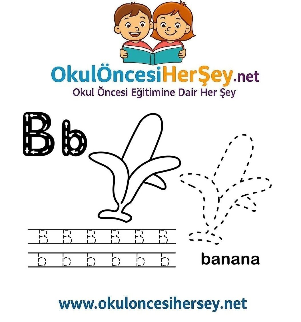 Çizgi Çalışmaları