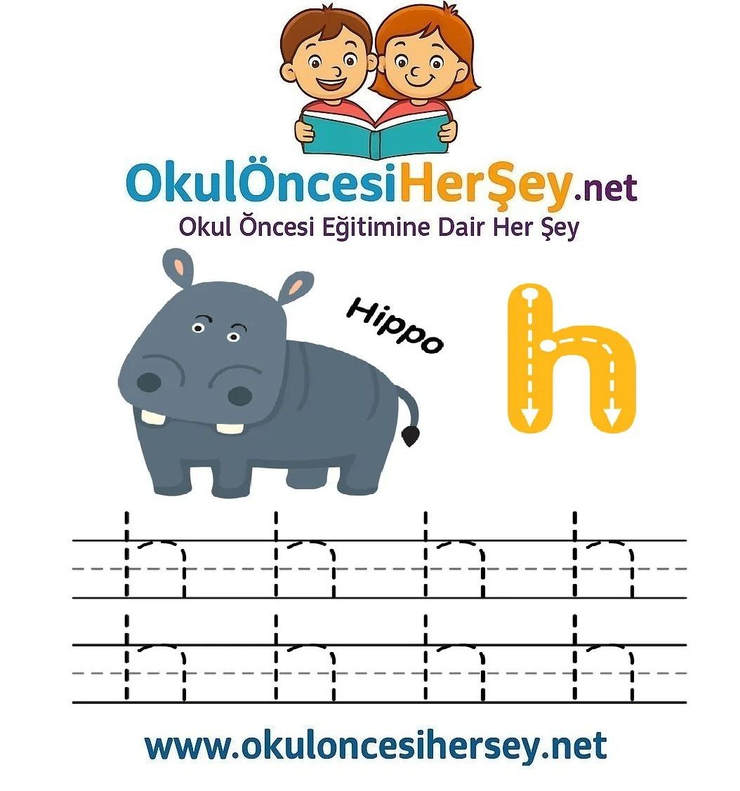 Çizgi Çalışmaları