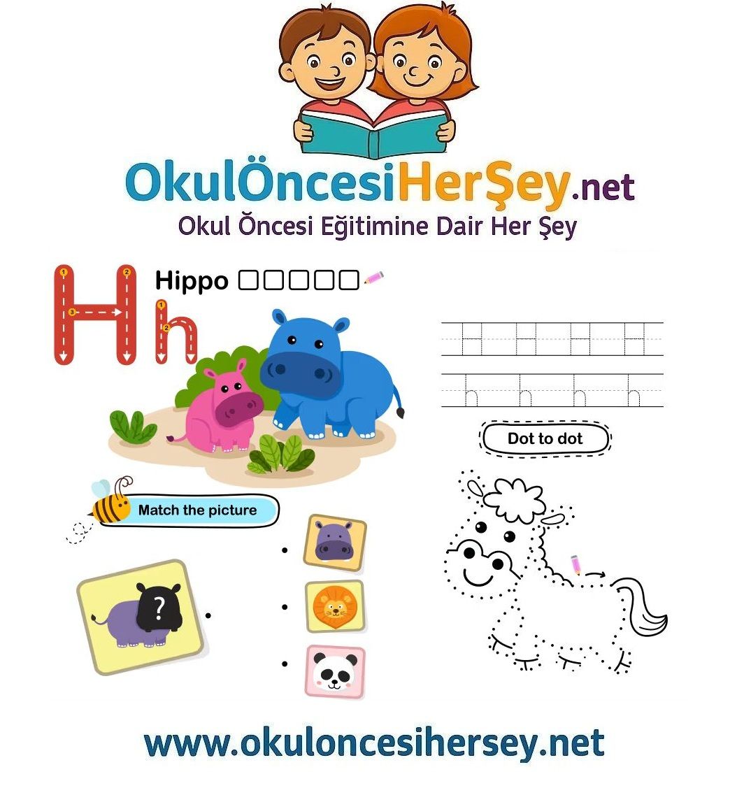 Çizgi Çalışmaları