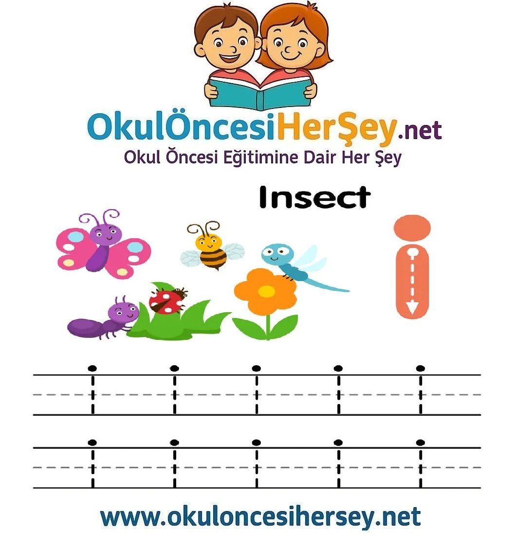 Çizgi Çalışmaları