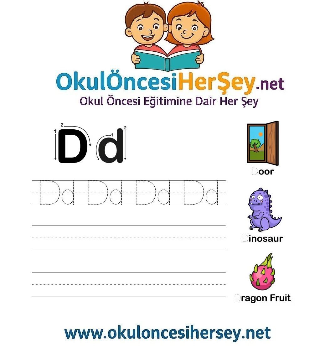 Çizgi Çalışmaları