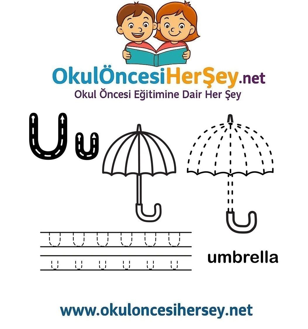 Çizgi Çalışmaları