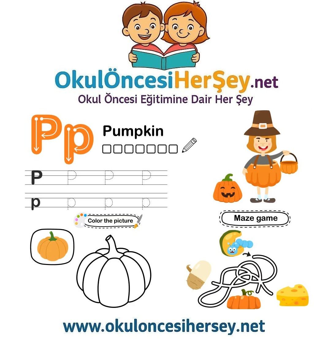 Çizgi Çalışmaları