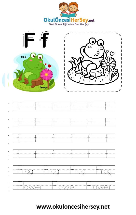 Çizgi Çalışmaları