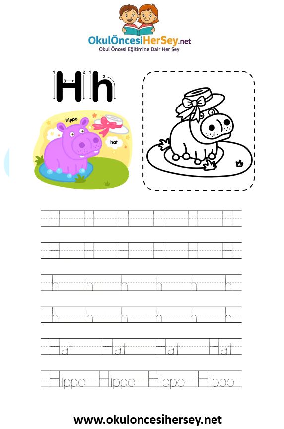 Çizgi Çalışmaları