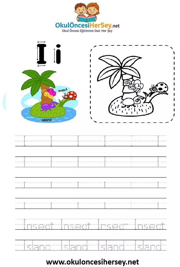 Çizgi Çalışmaları