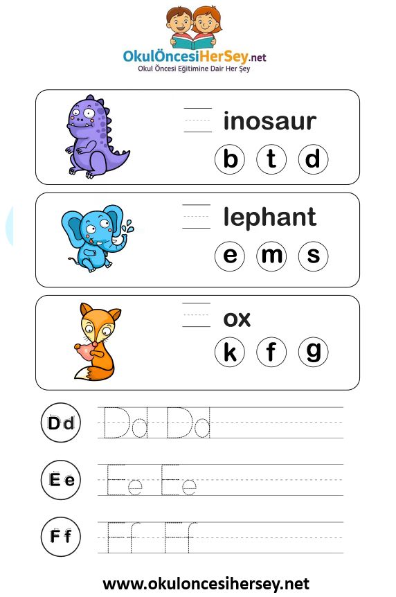 Çizgi Çalışmaları