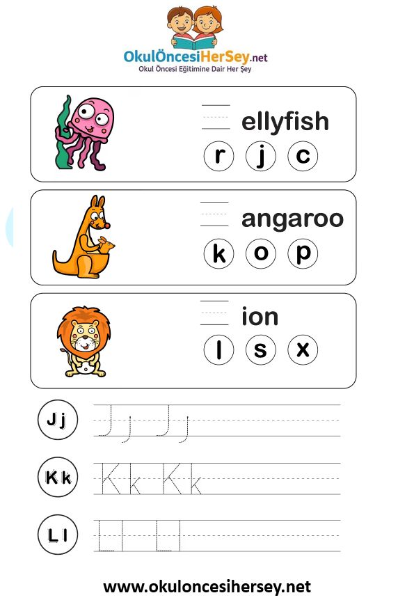 Çizgi Çalışmaları