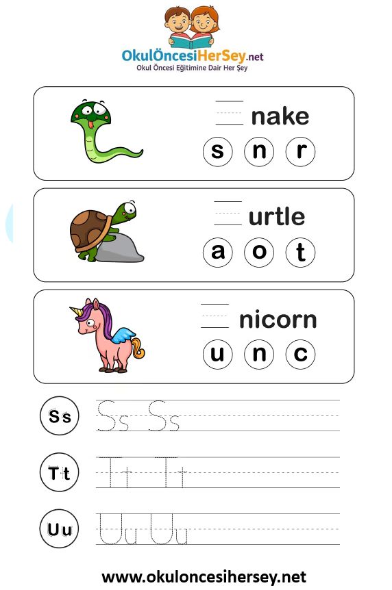 Çizgi Çalışmaları