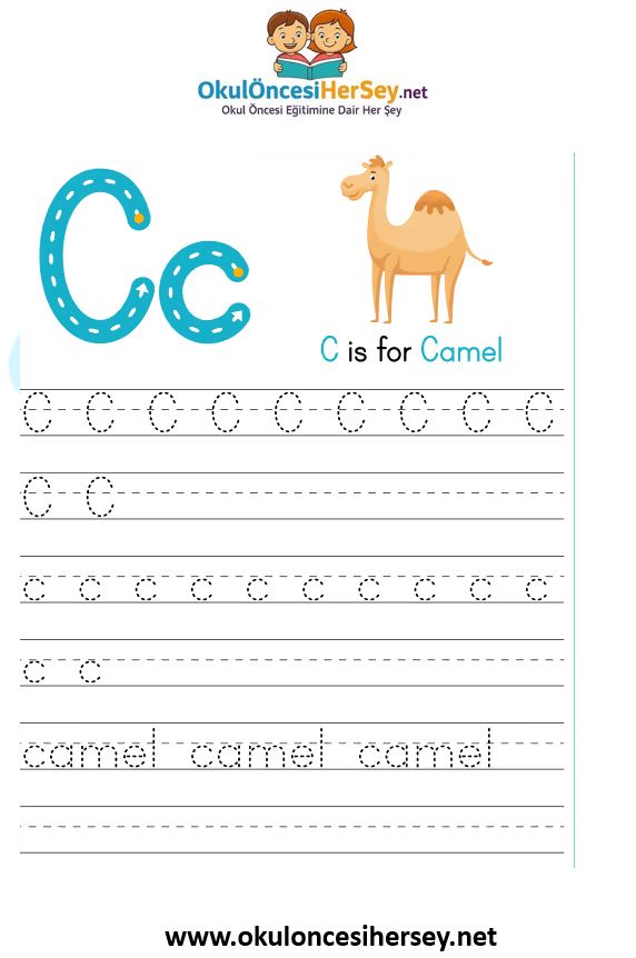 Çizgi Çalışmaları