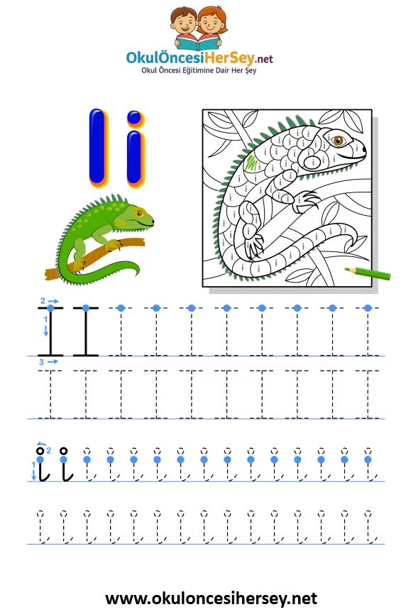 Çizgi Çalışmaları