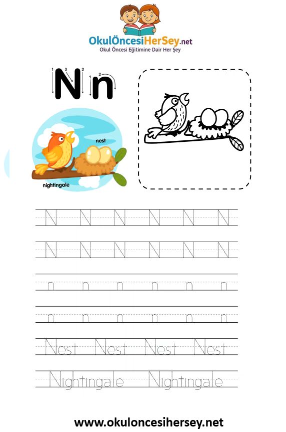 Çizgi Çalışmaları