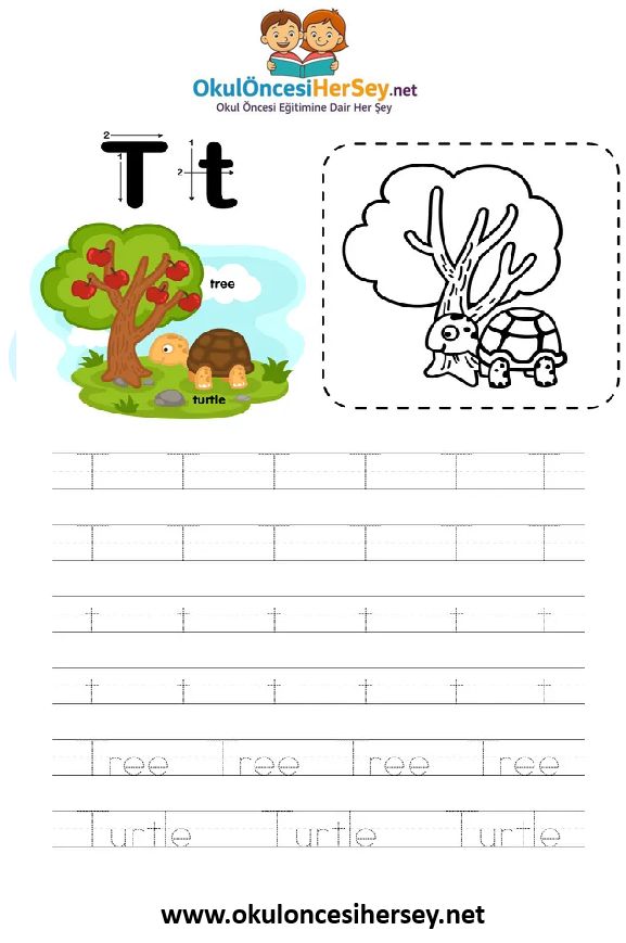 Çizgi Çalışmaları