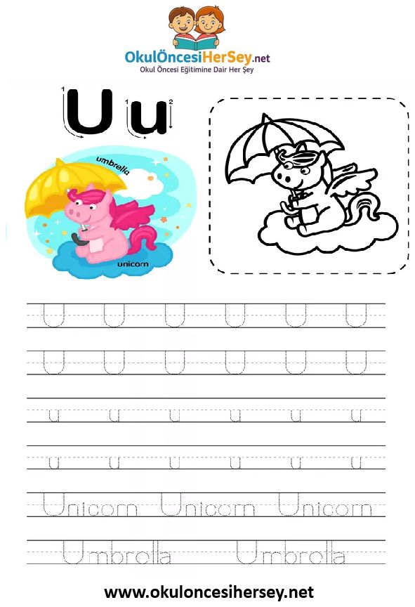 Çizgi Çalışmaları