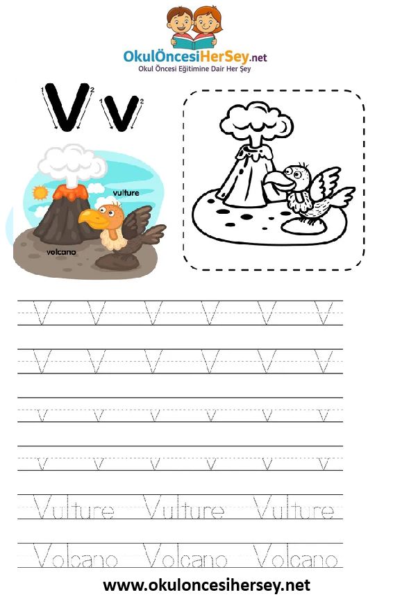 Çizgi Çalışmaları