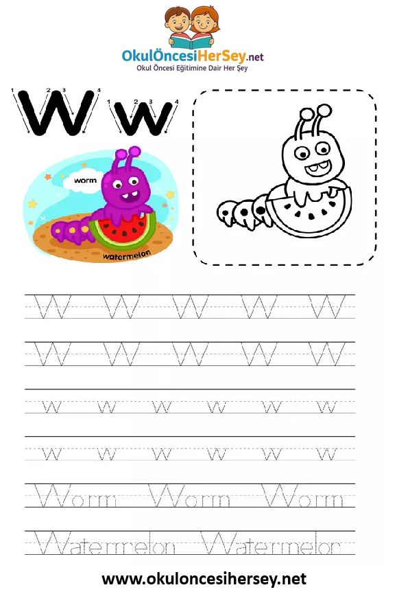 Çizgi Çalışmaları