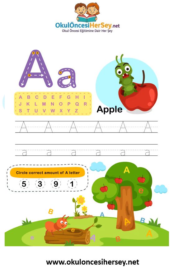 Çizgi Çalışmaları