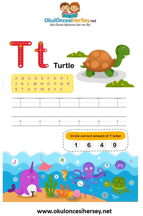 Çizgi Çalışmaları