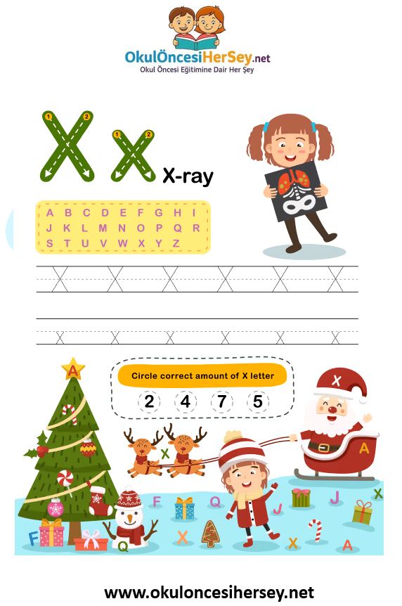 Çizgi Çalışmaları