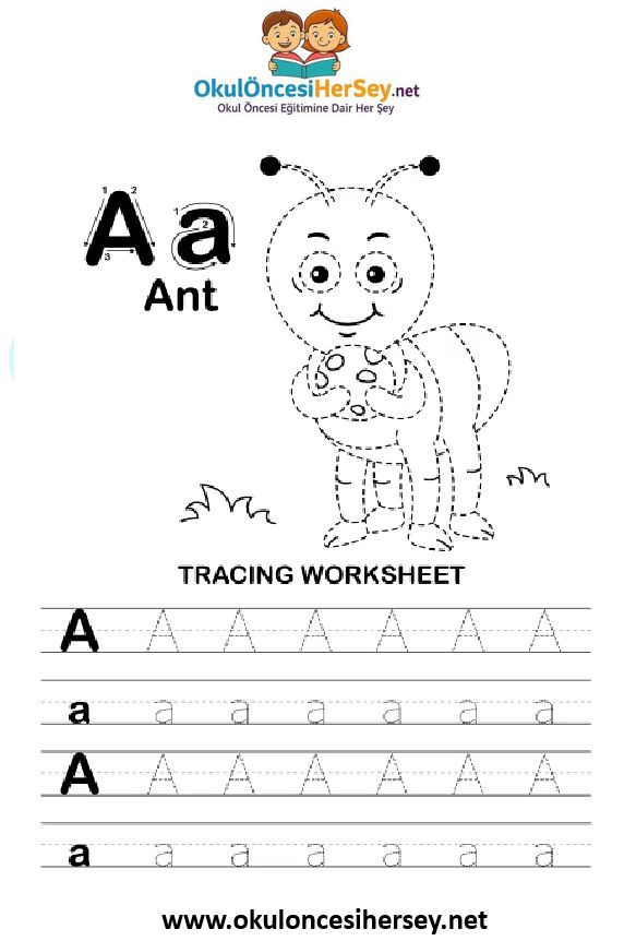 Çizgi Çalışmaları